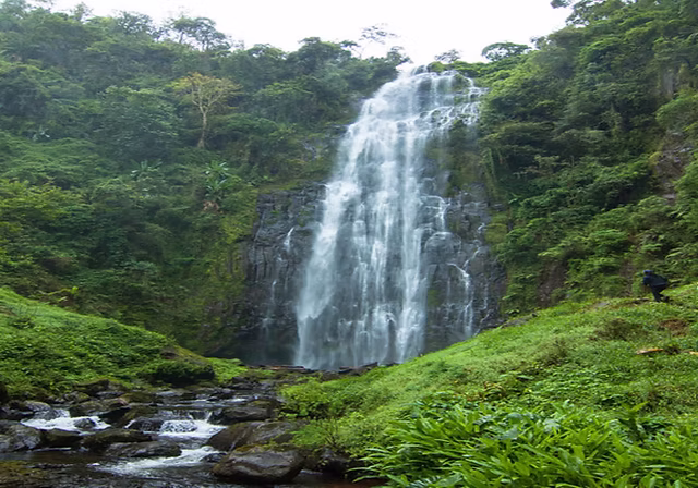 Materuni Waterfalls, Coffee & Banana Tour
