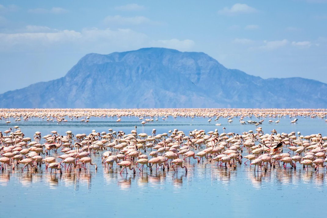 2 Day Ngorongoro & Lake Eyasi Joining Group Safari